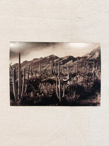  Saguaro Print Card - MESA