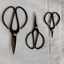  Japanese Scissors