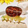 Garden Snail Small Hair Claw in Yellow and Amber Acetate