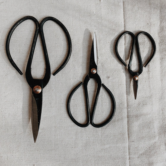 Japanese Scissors