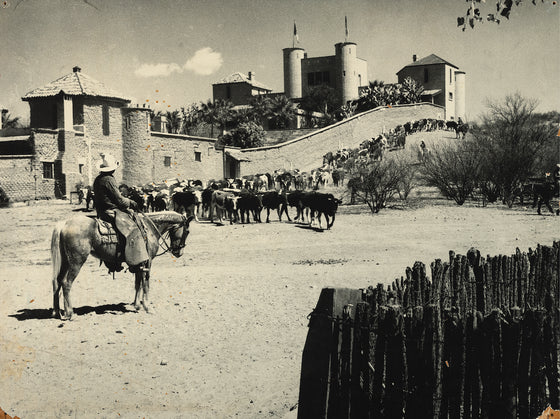 Old Mexico Print - MESA